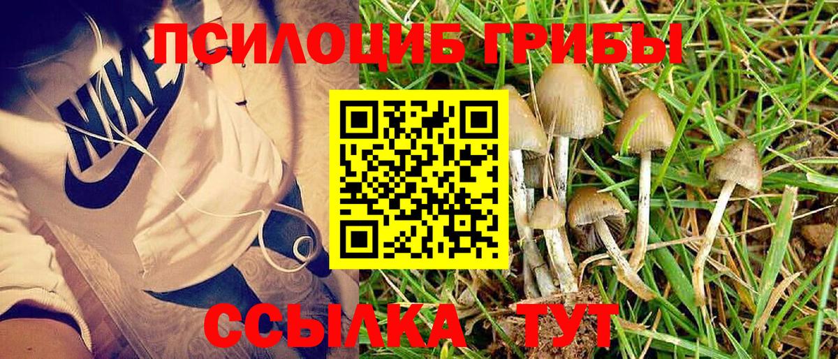 Галлюциногенные грибы прущие грибы Рославль
